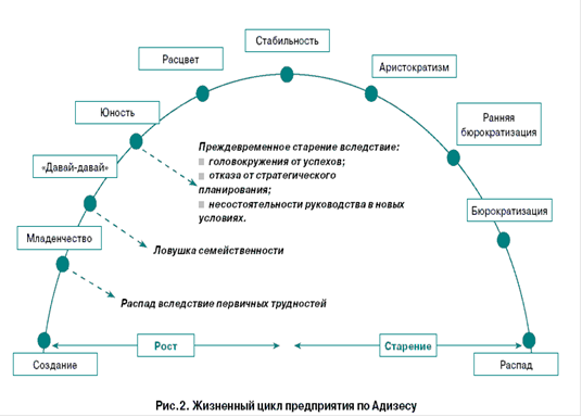 Курсовая работа по теме Концепция развития жизненного цикла организации